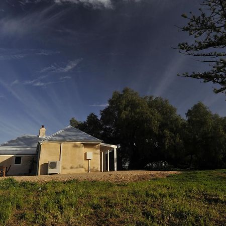 Peppermint Farm Cottage Mclaren Vale Buitenkant foto